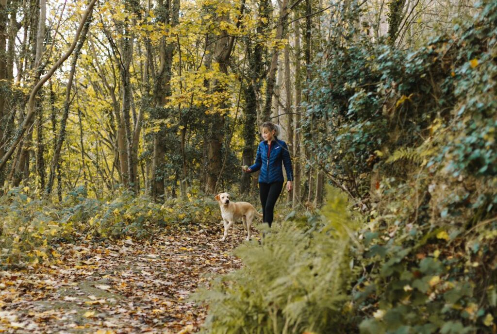 wandelen met de hond